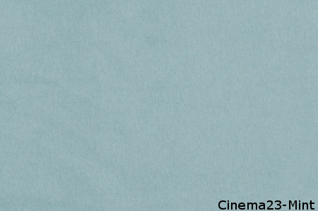 Cinema 23 Mint