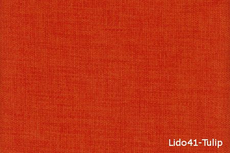 Lido 41 Tulip