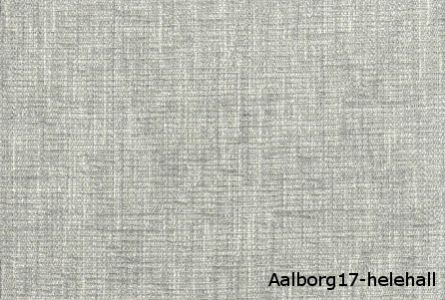 Aalborg17helehall