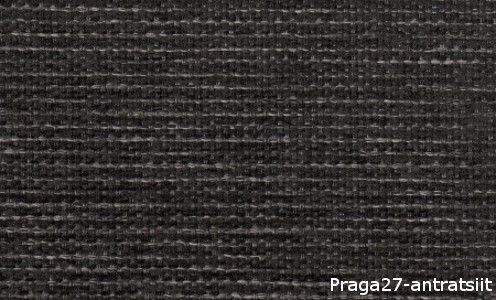 Praga27-antratsiit
